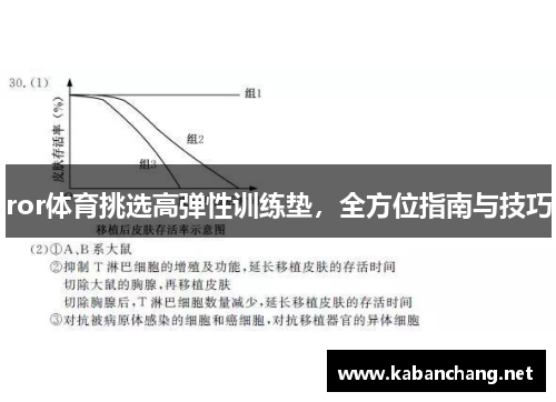 ror体育挑选高弹性训练垫，全方位指南与技巧